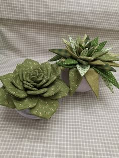 two succulents sitting on top of a white cloth covered tablecloth next to each other