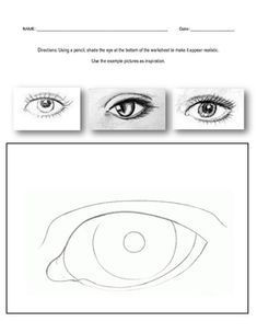 three different types of eyes are shown in the diagram below, and above it is an eye