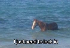 a horse is standing in the water with its head sticking out from it's body