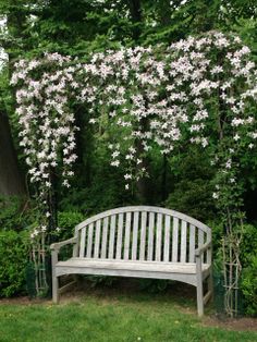 a white bench sitting in the middle of a lush green park filled with trees and flowers