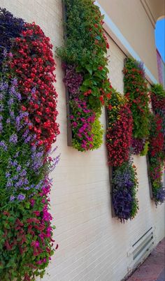 the flowers are growing on the side of the building and it looks like they have been planted