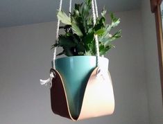 a potted plant is hanging from a rope