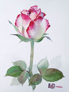 a painting of a pink rose with the words gui kokuu cumalar