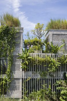 two people are standing on the roof of a building with plants growing out of it