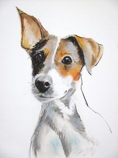 a drawing of a dog with brown and white fur