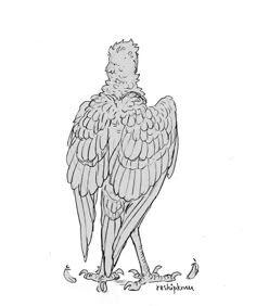 a black and white drawing of a bird with wings spread out, standing on one leg