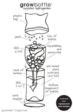 a diagram showing the parts of a grow bottle