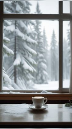 a cup and saucer on a table in front of a window with snow covered trees outside