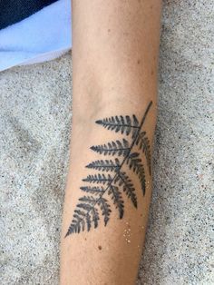 #tattoo #tattooinspiration #fern Fern Forearm Tattoo Women, Mens Tropical Tattoos, Fern Tattoo Inner Arm, Fern Stomach Tattoo, Fern Arm Tattoos For Women, Fern Tattoo On Arm, Fern Leg Tattoos Women, Large Fern Tattoo, Forearm Fern Tattoo