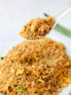 a spoon full of rice on top of a white plate