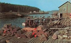 there are many lobster cages on the dock next to the water and houses in the background