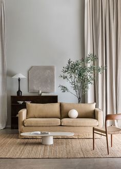 a living room filled with furniture and a plant