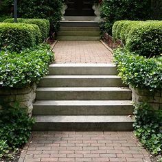 steps lead up to the front door of a house covered in bushes and ivys