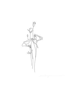 a line drawing of three flowers on a white background