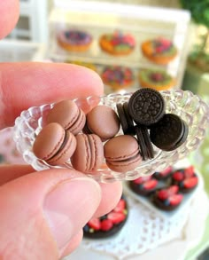 a hand holding a miniature chocolate cookie and oreo cookies in a glass dish with other cupcakes behind it