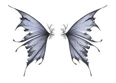 the back side of a butterfly with wings spread out to look like they are facing each other