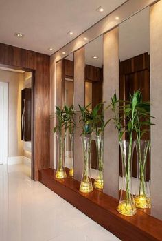 three tall vases with plants in them on a shelf next to a wall mirror