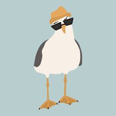 a seagull with sunglasses and a hat on it's head is standing in front of a blue background