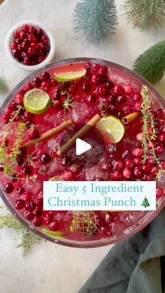 a bowl filled with cranberry christmas punch