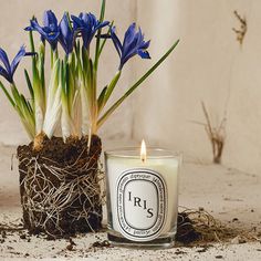 a candle with some flowers in it next to a small pot filled with dirt and grass