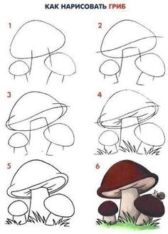 step by step drawing instructions for children to learn how to draw mushrooms