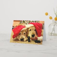 two golden retriever puppies wearing santa hats on top of a christmas greeting card