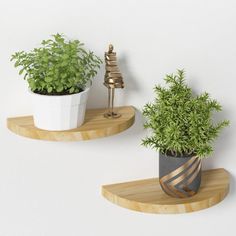 two potted plants sitting on wooden shelves next to each other