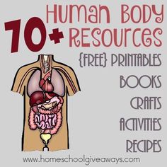 Human Body Unit Study, Human Body Projects, Free Human Body, Medical Study, Human Body Activities, Books Crafts, Human Body Unit, Body Study, Human Body Art