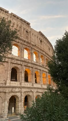 the roman colliseum is lit up at night, with trees in front of it