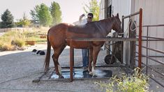 a man standing next to a brown horse in front of a building with a hose attached to it