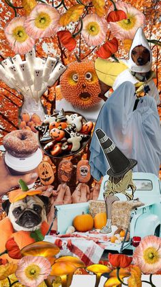 a collage of pumpkins, flowers, and other items with a dog dressed as a scarecrow