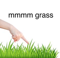 a hand pointing at grass with the words mmmmn grass in front of it