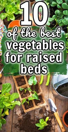 best vegetables for raised beds Raised Beds Veggie Garden, Raised Bed Plants Ideas, Best Vegetable To Grow In Raised Beds, Vegetables In Raised Garden Beds, Beginning Vegetable Garden, What To Plant In My Raised Garden, What Grows Best In Raised Beds, Kitchen Garden Ideas Growing Vegetables Raised Beds