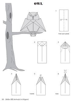 how to make an origami owl sitting on a tree branch with the instructions