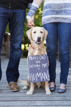 a dog with a sign that says mom and dad are getting me human