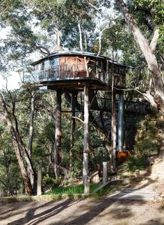 a tree house built into the side of a hill