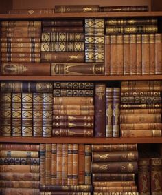 a book shelf filled with lots of books on top of wooden shelves next to each other