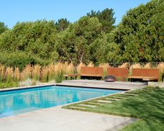 an empty swimming pool surrounded by trees and grass with benches on either side in the foreground