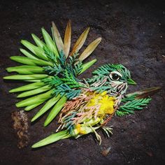 a colorful bird with feathers and flowers on the ground