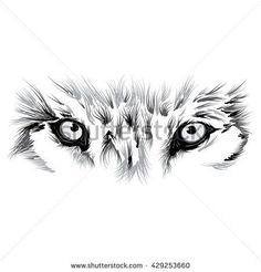 an animal's face with eyes drawn in black and white ink on a white background