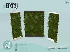 an image of a green wall with plants growing on it and the words energy written below