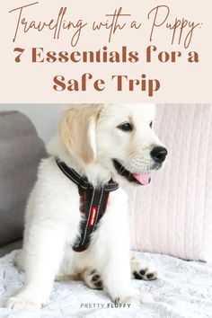 a puppy sitting on top of a bed with the words traveling with a puppy 7 essentials for a safe trip