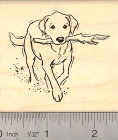 a rubber stamp with a drawing of a dog holding a stick in it's mouth