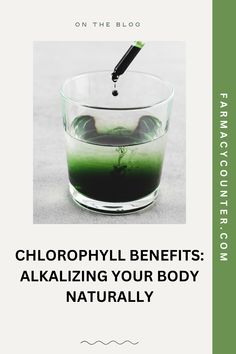 Discover the natural way to support pH balance with chlorophyll! 🌿 #Alkalizing #Chlorophyll #pHBalance #Wellness Liquid Chlorophyll Benefits, Chlorophyll Benefits, Green Juice Cleanse, Detox Cleanse Recipes, Liquid Chlorophyll, Cleanse Recipes, Healthy Routine, Natural Detox, Detox Your Body