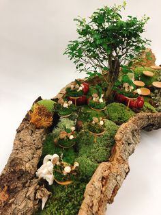 a small tree is in the middle of a mossy area with mushrooms and other plants