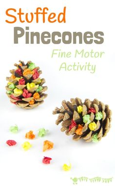 two pinecones are sitting next to each other on a white surface with the words, stuffed pinecones fine motor activity