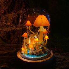 there is a glass dome with some lights in it and mushrooms on the inside that are lit up