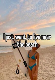 not mine #beach  #summer Beach Profile Pictures, Ocean Life Photography, Summer Goals, Hashtag Relatable, Maybe One Day, Marine Biology, Summer Dream, Whisper Confessions, Future Life