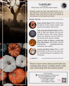 an article about pumpkins in front of a tree