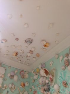 there are many shells on the wall in this room